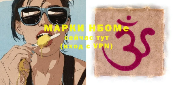 сатива Иннополис