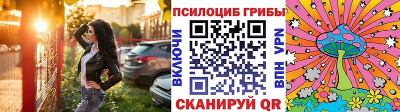 мориарти клад  Гаврилов Посад  Псилоцибиновые грибы мицелий 